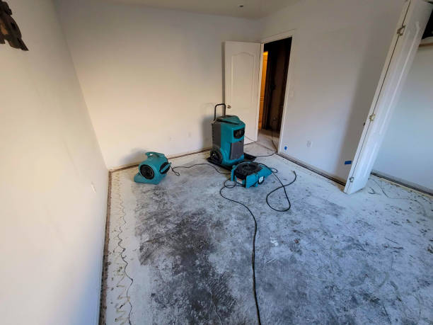 Best Professional water damage repair  in Benbrook, TX