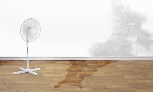 Best Flooded house restoration  in Benbrook, TX