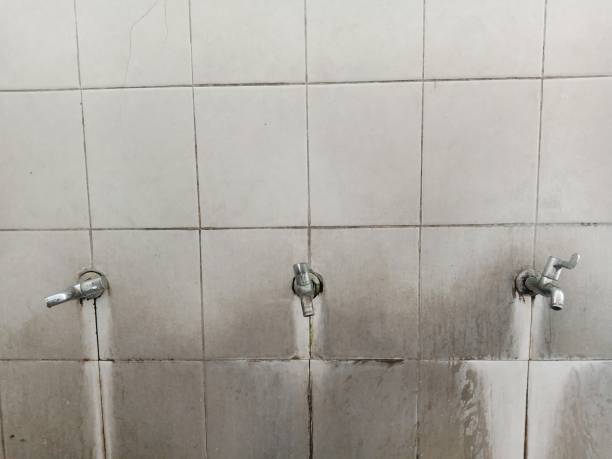 Best Ceiling water damage repair  in Benbrook, TX