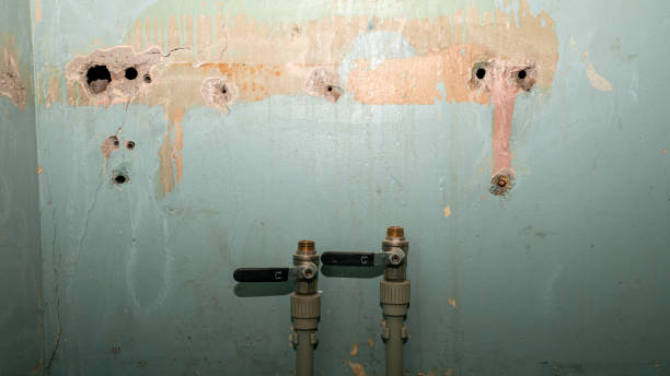  Benbrook, TX Water damage restoration Pros