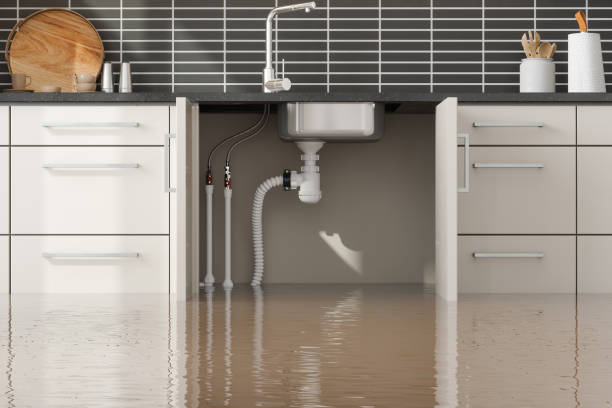 Best Water damage cleanup near me  in Benbrook, TX