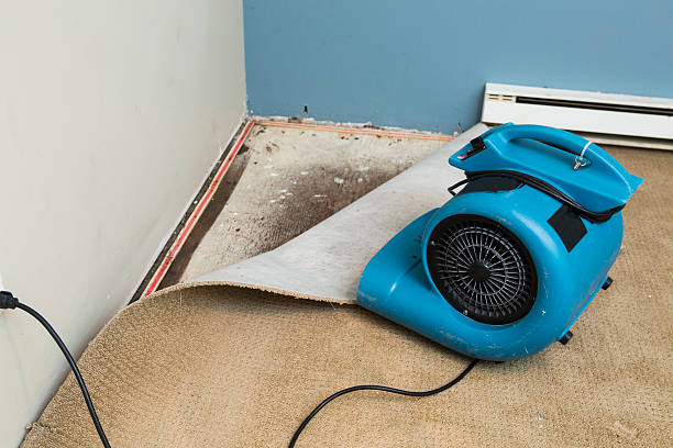 Best Mold removal after water damage  in Benbrook, TX